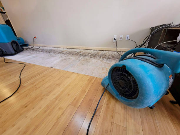 Professional Flood Damage Cleanup technician working in East China, MI